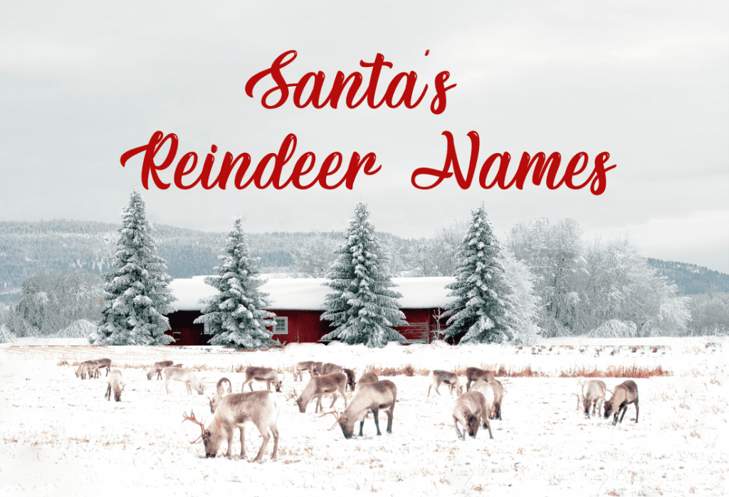 Santa's Reindeer Names & Everything Else You Need To Know