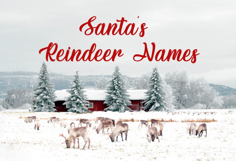 Santa's Reindeer Names