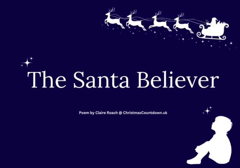 The Santa Believer Poem